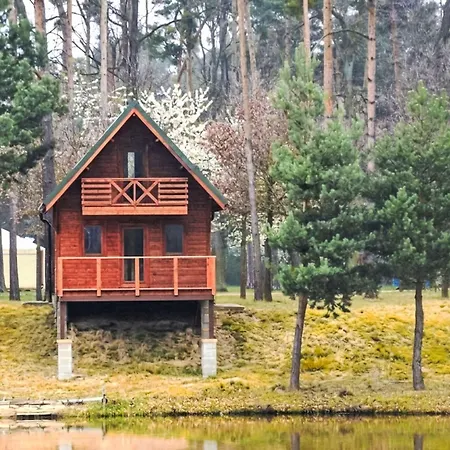 Prázdninový dům Stribrny Rybnik-4 By Interhome *